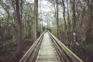 USA, Florida, Fort Myers, Six Mile Cypress Slough Preserve - CHPF000168