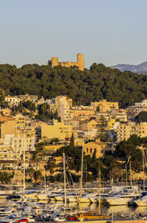 Spanien, Balearische Inseln, Mallorca, Palma de Mallorca, Schloss Bellver und Hafen - THAF001538