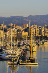 Spain, Balearic Islands, Mallorca, Harbour in the evening - THAF001539