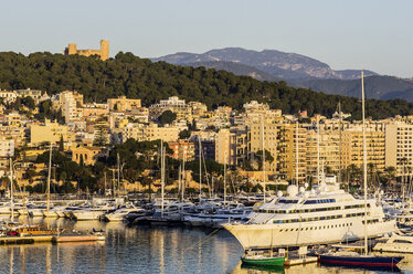 Spanien, Balearische Inseln, Mallorca, Palma de Mallorca, Schloss Bellver und Hafen - THAF001540