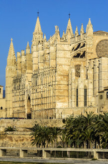 Spanien, Balearische Inseln, Mallorca, Palma de Mallorca, Kathedrale La Seu - THAF001543