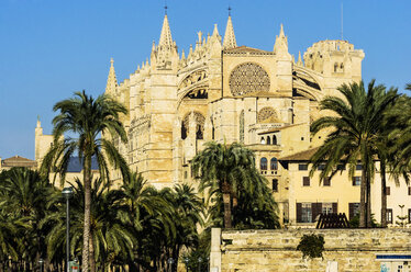 Spain, Balearic Islands, Mallorca, Palma de Mallorca, La Seu Cathedral - THAF001544