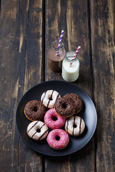 Two glass bottles of milk and cocoa and plate of doughnuts with different icings on dark wood - CSF027016