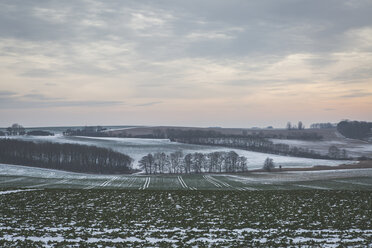 Deutschland, Mecklenburg-Vorpommern, Rügen, Felder im Winter - ASCF000454
