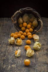 Physalis in basket and on wood - LVF004383