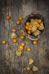 Physalis in basket and on wood - LVF004387