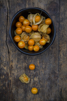 Physalis in Schale und auf Holz - LVF004389