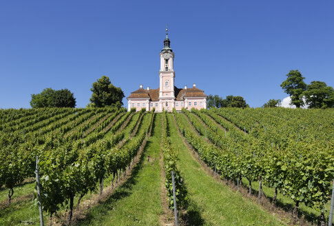 Deutschland, Baden-Württemberg, Birnau Basilika und Weinberg - SIEF006919