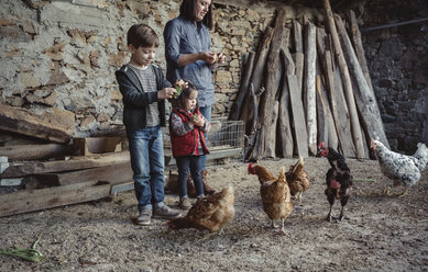 Woman and her children feeding hens with green grapes in a farm barnyard - DAPF000006