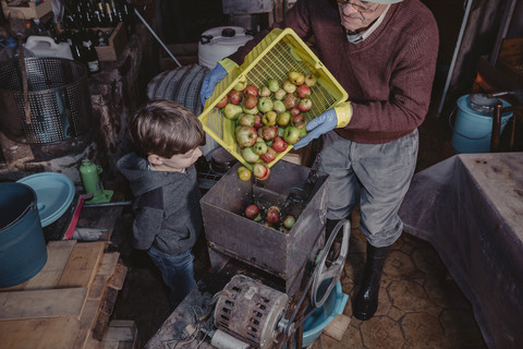 Little boy watching senior man turning basket of apples into a crusher stock photo