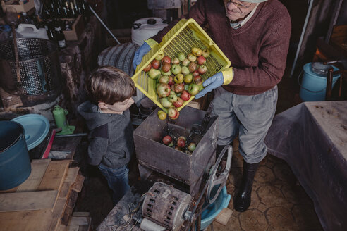 Little boy watching senior man turning basket of apples into a crusher - DAPF000009