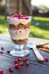 Desserts im Glas, Granatapfelkerne, Joghurt und Spekulatius - SARF002437