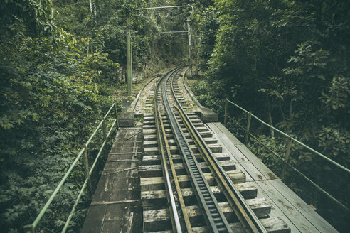 Brasilien, Rio de Janeiro, Schienen einer Schmalspurbahn im Parque Nacional da Tijuca - MFF002590