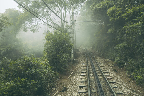 Brasilien, Rio de Janeiro, Schienen einer Schmalspurbahn im Parque Nacional da Tijuca - MFF002591