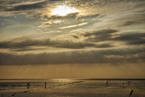 Deutschland, Dithmarschen, Friedrichskoog-Spitze, Sonnenuntergang am Nordsee-Watt - DIKF000169