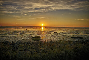 Germany, Dithmarschen, Friedrichskoog-Spitze, Sunset at the North Sea tidelands - DIKF000173
