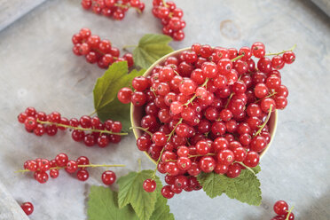 Bowl of red currants with leaves - SBDF002624