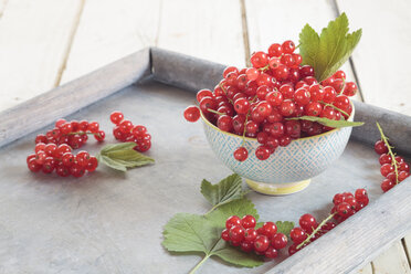 Bowl of red currants with leaves on a tray - SBDF002628