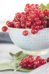 Bowl of red currants with leaves, close-up - SBDF002629