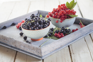 Two bowls of red and black currants on a tray - SBDF002631