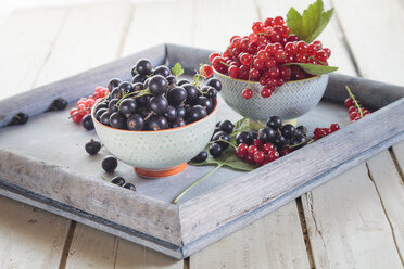 Zwei Schalen mit roten und schwarzen Johannisbeeren auf einem Tablett - SBDF002631