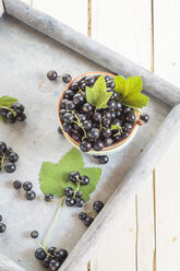 Bowl of black currants with leaves on a tray - SBDF002633