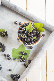 Schale mit schwarzen Johannisbeeren mit Blättern auf einem Tablett - SBDF002633