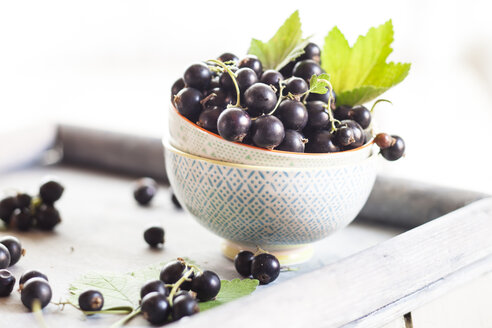 Bowls of black currants with leaves on a tray - SBDF002634