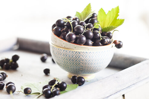 Schalen mit schwarzen Johannisbeeren mit Blättern auf einem Tablett - SBDF002634