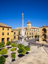 Spanien, Andalusien, Cordoba, Diosece-Museum - AMF004649