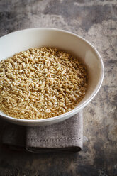 Bowl of soaked oat grains - EVGF002669
