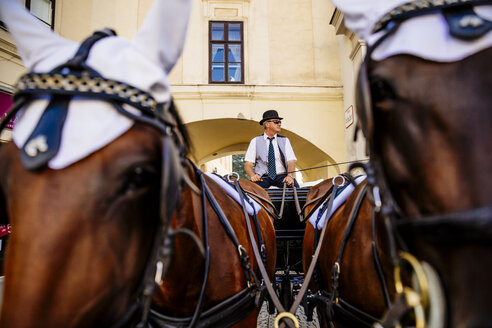 Austria, Vienna, coachman on his fiaker in the city - AIF000272