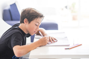 Boy doing homework - SIPF000036