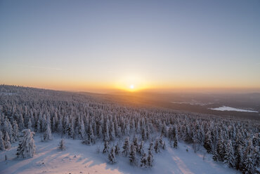 Deutschland, Sachsen-Anhalt, Nationalpark Harz, Wolfswarte im Winter - PVCF000743