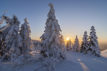 Deutschland, Sachsen-Anhalt, Nationalpark Harz, Landschaft im Winter am Abend - PVCF000744