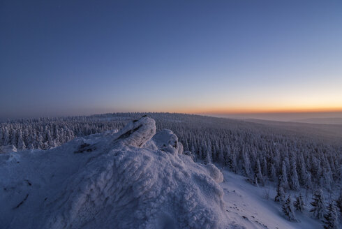 Deutschland, Sachsen-Anhalt, Nationalpark Harz, Wolfswarte im Winter - PVCF000746