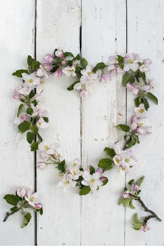 Kranz aus Apfelblüten auf weißem Holz, lizenzfreies Stockfoto