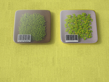 3D-Rendering, verpacktes Gras mit Strichcode auf kokelartigem Hintergrund - UWF000745