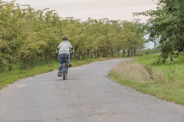 Rückenansicht eines kleinen Jungen beim Fahrradfahren - PAF001523