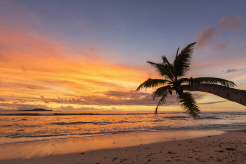 Seychelles, Praslin, Anse Kerlan, Coconut palm and Cousin Island at sunset - FOF008382