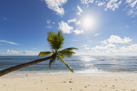 Seychelles, Praslin, Anse Kerlan, coconut palm and Cousin Island stock photo