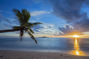 Seychellen, Praslin, Anse Kerlan, Kokosnusspalme und Cousin Island bei Sonnenuntergang - FOF008385