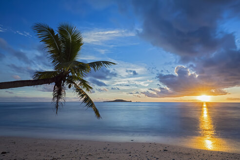 Seychelles, Praslin, Anse Kerlan, Coconut palm and Cousin Island at sunset - FOF008385