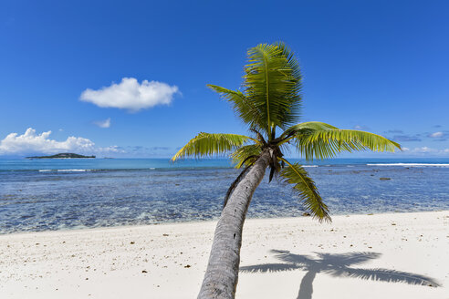 Seychellen, Praslin, Anse Kerlan, Kokosnusspalme und Cousin Island - FOF008387