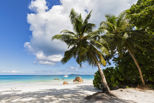 Seychelles, Praslin, Anse Lazio, catamaran, palm on beach - FOF008392