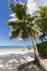 Seychelles, Praslin, Anse Lazio, catamaran, palm on beach - FOF008393