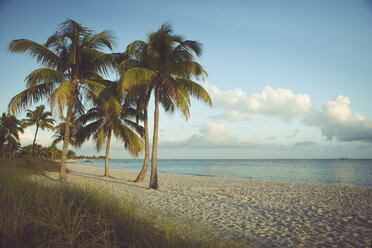 USA, Florida, Key West, palm trees on beach - CHPF000198