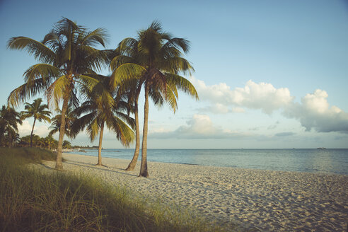 USA, Florida, Key West, Palmen am Strand - CHPF000198