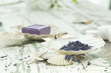 Lavendel in einer Muschel und ein Stück Seife - ASF005804