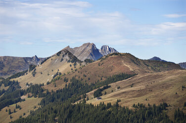 Austria, Pongau,Grossarl Valley, View of Ellmau valley, Radstaetter Tauern - WWF003920